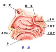 专家介绍早泄治疗的症状