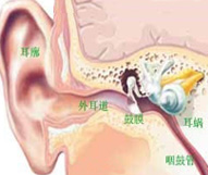 慢性化脓性前列腺炎