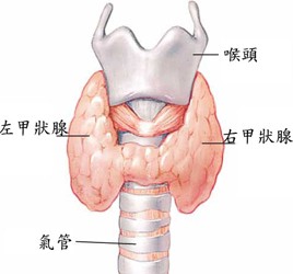 淮南精囊炎肿大  精囊炎突然肿痛是因为精囊炎肥大吗？